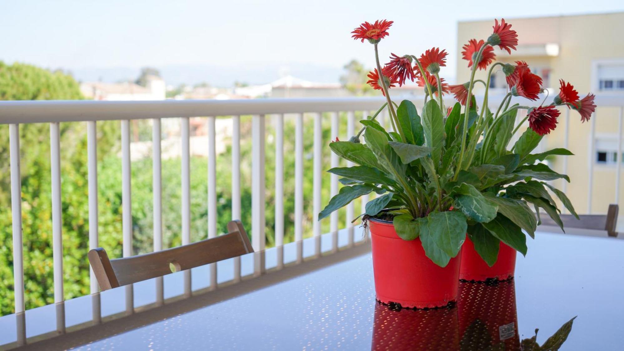 Apartament Lo Cor Del Delta Сан-Жауме-де-Энвежа Экстерьер фото